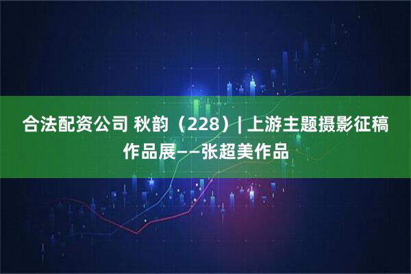 合法配资公司 秋韵（228）| 上游主题摄影征稿作品展——张超美作品