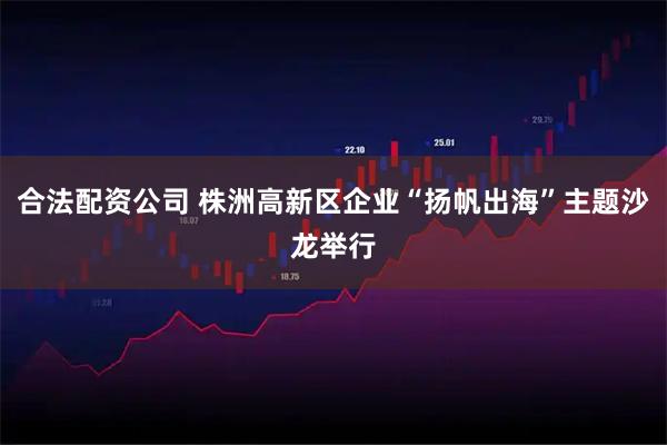 合法配资公司 株洲高新区企业“扬帆出海”主题沙龙举行