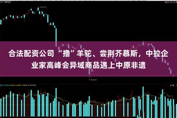 合法配资公司 “撸”羊驼、尝荆芥慕斯，中拉企业家高峰会异域商品遇上中原非遗