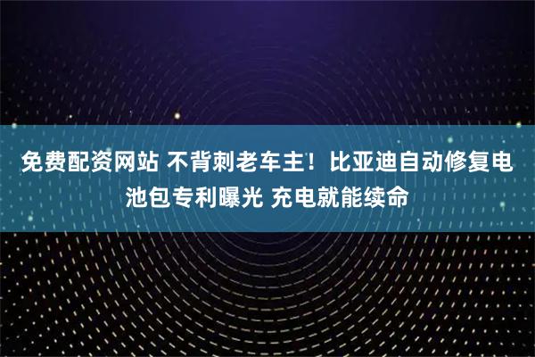 免费配资网站 不背刺老车主！比亚迪自动修复电池包专利曝光 充电就能续命